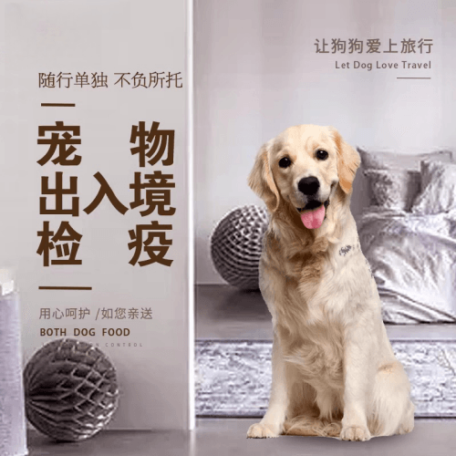 海口宠物托运到哥伦比亚猫狗宠物入境规定和