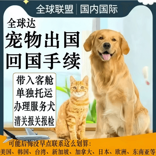 海口宠物托运到柬埔寨宠物入境规定和要求