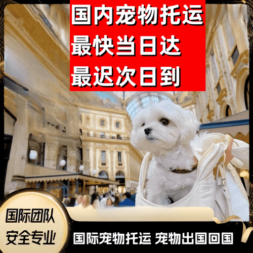 海口到澳大利亚（澳洲）宠物入境规定和要求